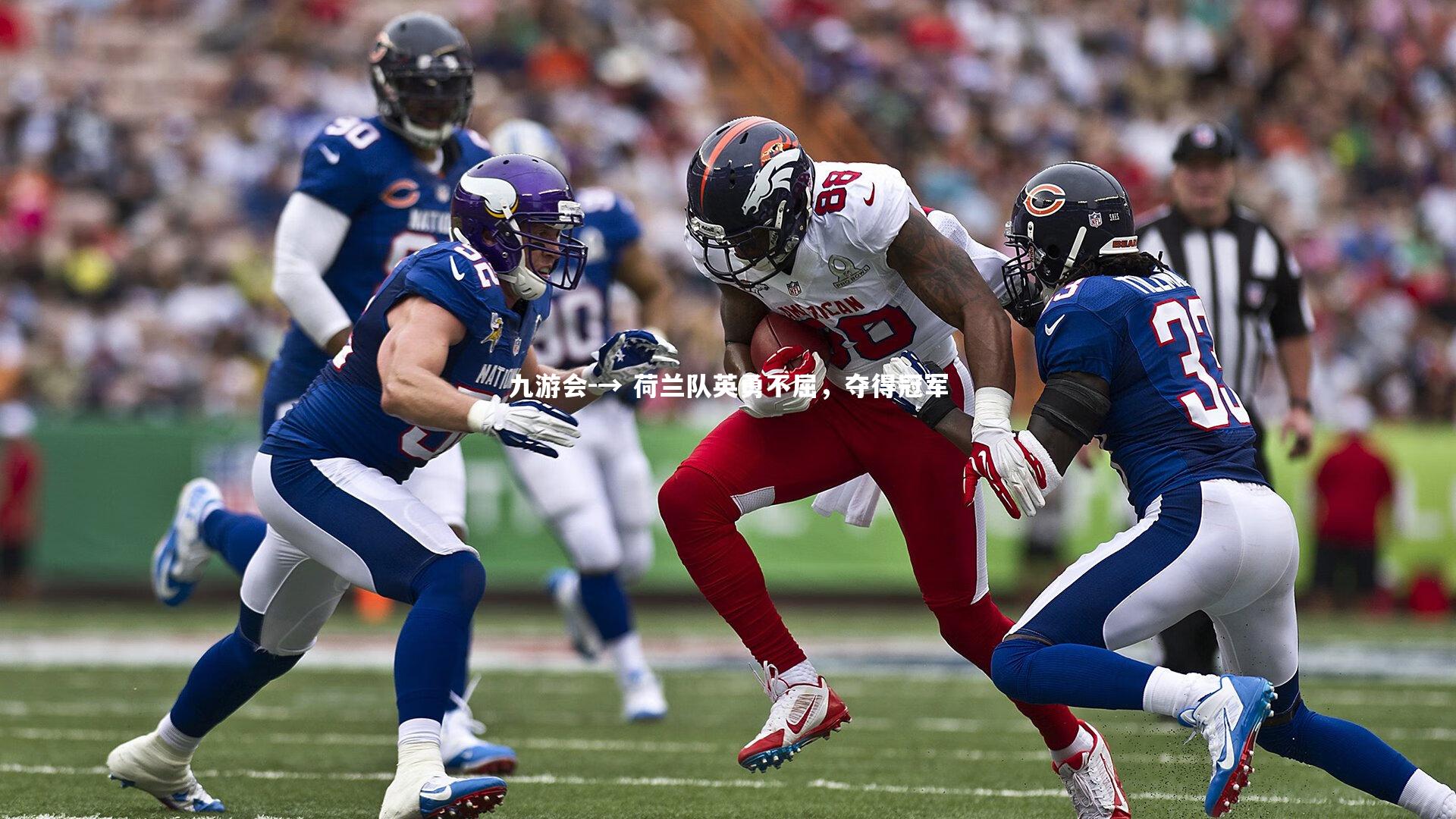 → 荷兰队英勇不屈，夺得冠军