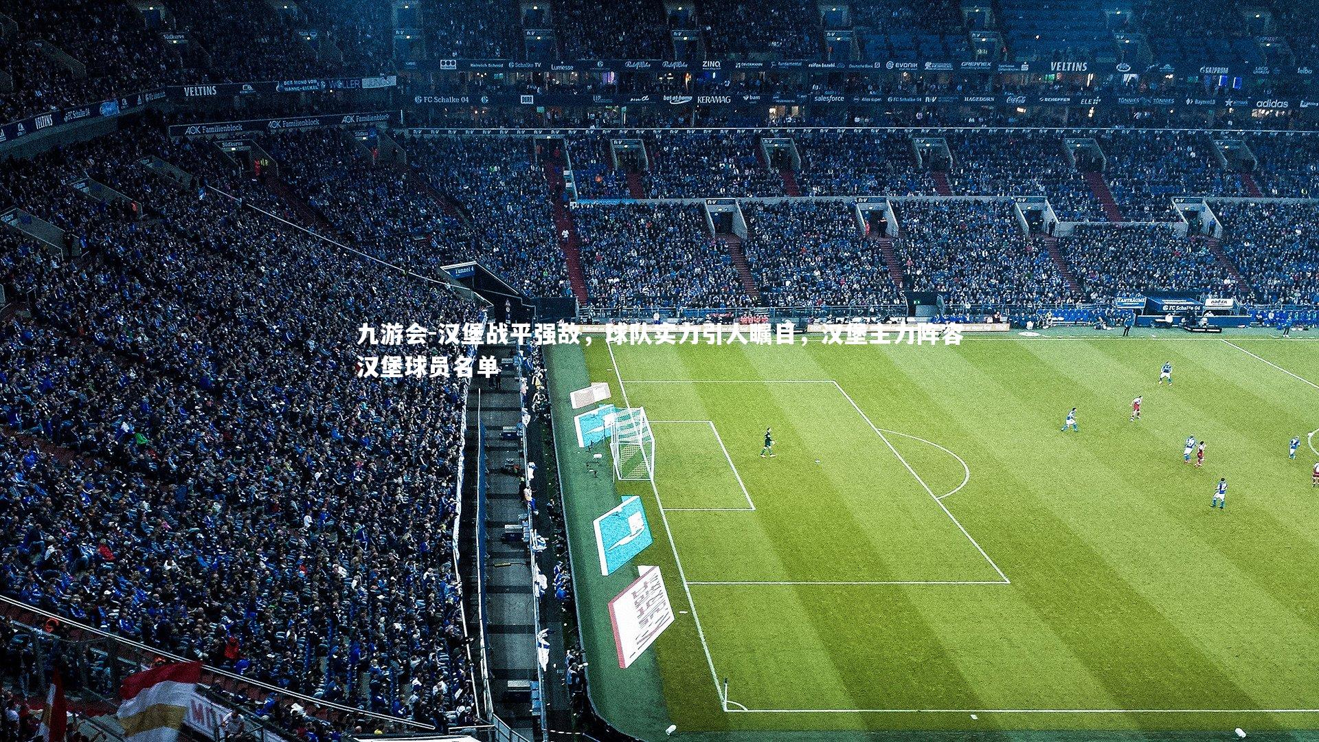 九游会-汉堡战平强敌，球队实力引人瞩目，汉堡主力阵容汉堡球员名单