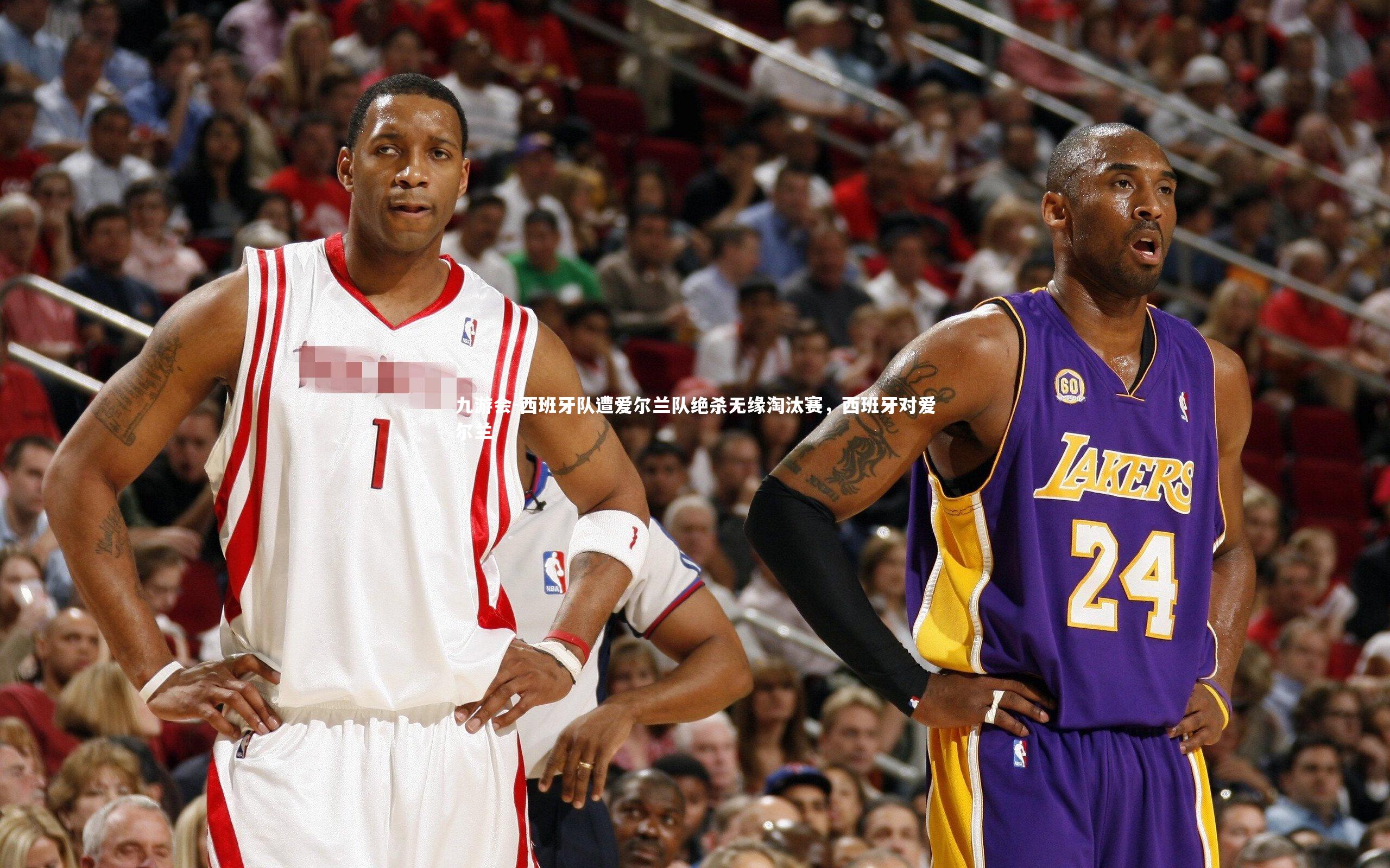 西班牙队遭爱尔兰队绝杀无缘淘汰赛，西班牙对爱尔兰